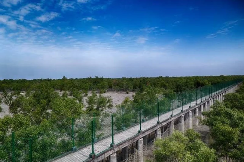 Dobanki High Tree Walkway